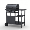 Grill gazowy BBQ ze stali nierdzewnej 2 palniki, na kółkach Bagnét Verd Fr Promocja