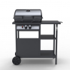 Grill gazowy BBQ ze stali nierdzewnej 2 palniki, na kółkach Bagnét Verd Fr Oferta