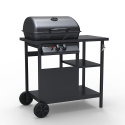 Grill gazowy BBQ ze stali nierdzewnej 2 palniki, na kółkach Bagnét Verd Fr Sprzedaż