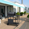 Grill gazowy BBQ ze stali nierdzewnej 2 palniki, na kółkach Bagnét Verd Fr Sprzedaż