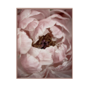 Wydruk kwiaty obraz natury ramka 40x50cm Variety Duwa Sprzedaż