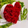 Roślinne napisy ozdoba serca stabilizowana mchem porostów Love Katalog