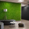 Zdjęcia roślin stabilizowane 4 60x40cm panele GreenBox Kit Lichene Promocja