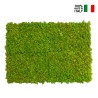 Zdjęcia roślin stabilizowane 4 60x40cm panele GreenBox Kit Lichene Oferta