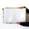 Zdjęcia roślin stabilizowane 4 60x40cm panele GreenBox Kit Lichene Sprzedaż