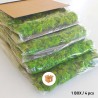 Zdjęcia roślin stabilizowane 4 60x40cm panele GreenBox Kit Lichene Środki