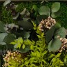 Obrazy roślinne stabilizowane kwiaty rośliny ForestMoss Persefone Cena