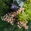 Obrazy roślinne stabilizowane kwiaty rośliny ForestMoss Persefone Koszt