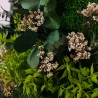 Obrazy roślinne stabilizowane kwiaty rośliny ForestMoss Persefone Zakup